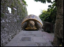 Oh, there's someone in our way!