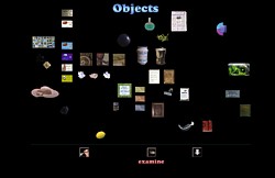 The inventory