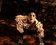 frankensteinscreen3.jpg (7374 Byte)