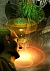 gadgetscreen1.jpg (6009 Byte)