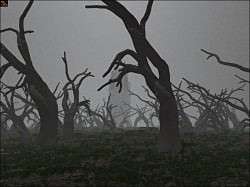 imprisoned024.jpg (14502 Byte)