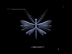 This dragonfly can create letters 