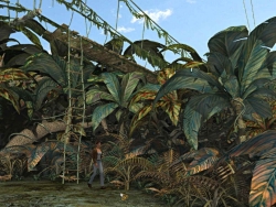 It's a jungle out there