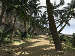 Idyll of a palm grove