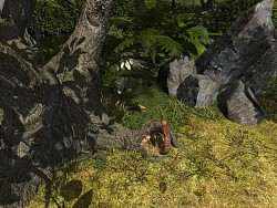 Encountering a cobra