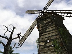 Investigating the farm