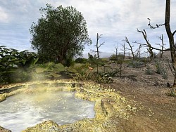 Hot sulfur springs