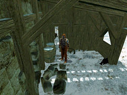 Plundered Roman settlement