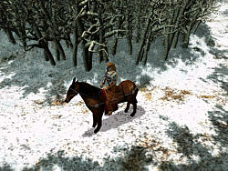 Riding in the forest of Arden - in the first part there is no map to help you with that