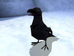 Kr�he, altes Haus! Lebst Du auch noch?! Oh, Verzeihung, er nennt sich ja jetzt Crow...

