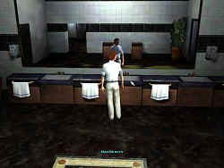 Large-scaled lavatories
